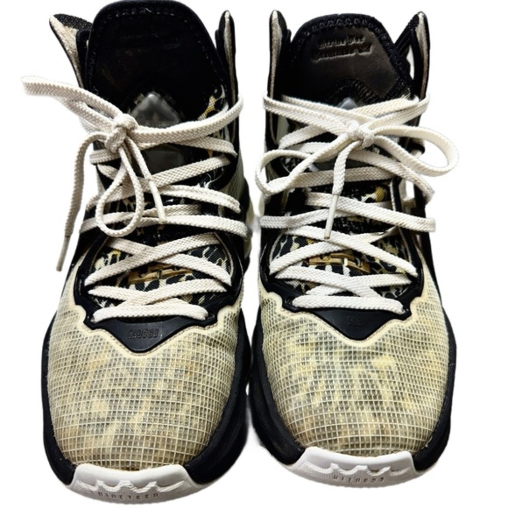 Nike Labron Xix 9 space jam Shoes in Black and Cream